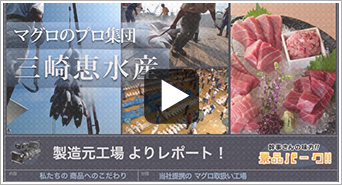 当社定期のマグロ取扱い工場