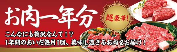 お肉一年分