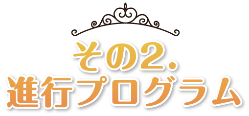 その2.進行プログラム
