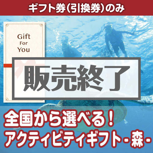 【ギフト券】ac-10（A4パネル付）[当日出荷可]