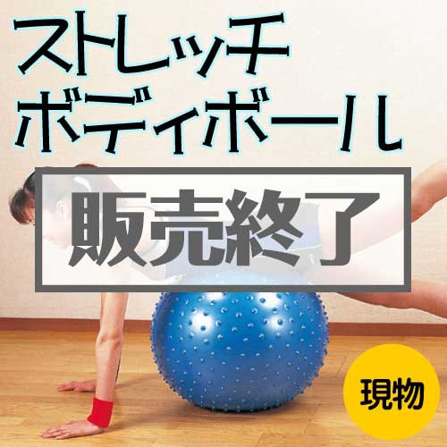 【現物】ストレッチボディボール」[当日出荷可]