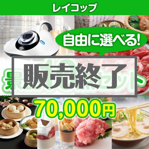＜内容が選べるまとめ買い景品10点セット＞/rcp-lite-a3 目玉：レイコップ[送料無料・全品目録パネル付・当日出荷可]