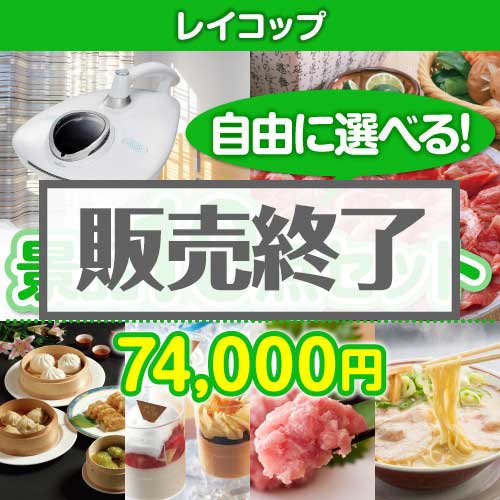 ＜内容が選べるまとめ買い景品10点セット＞/rcp-rn-a3 目玉：レイコップ[送料無料・全品目録パネル付・当日出荷可]