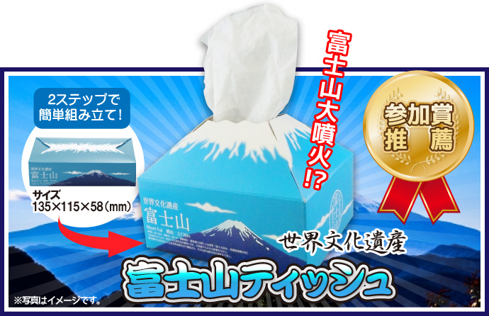 富士山ティッシュ10個セット【現物】