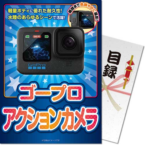 【パネもく！】ゴープロ アクションカメラ