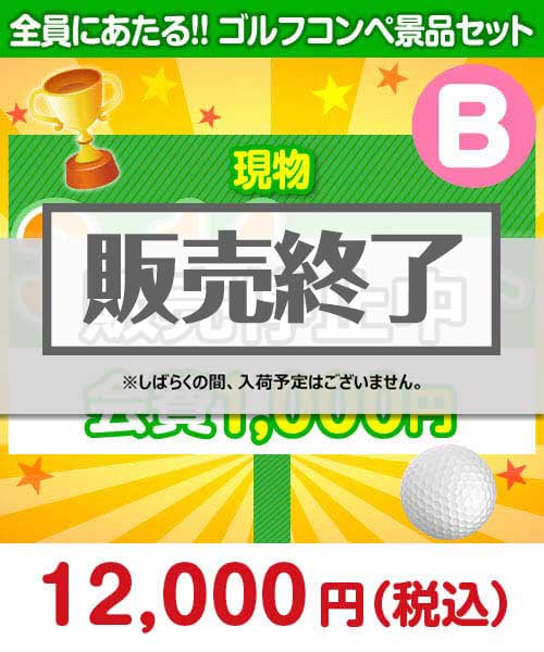 【ゴルフコンペ賞品14点セット】3組12名様：会費1,000円（全員に当たる！）Bコース まとめ買いセット景品ランキング