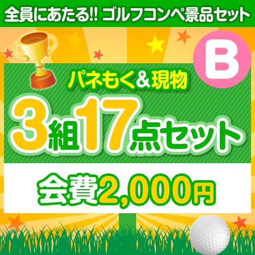 【ゴルフコンペ賞品17点セット】3組12名様：会費2,000円（全員に当たる！）Bコース 