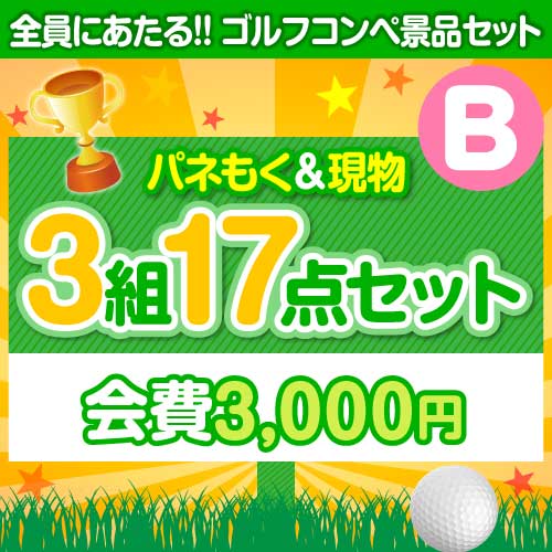 【ゴルフコンペ賞品17点セット】3組12名様：会費3,000円（全員に当たる！）Bコース 