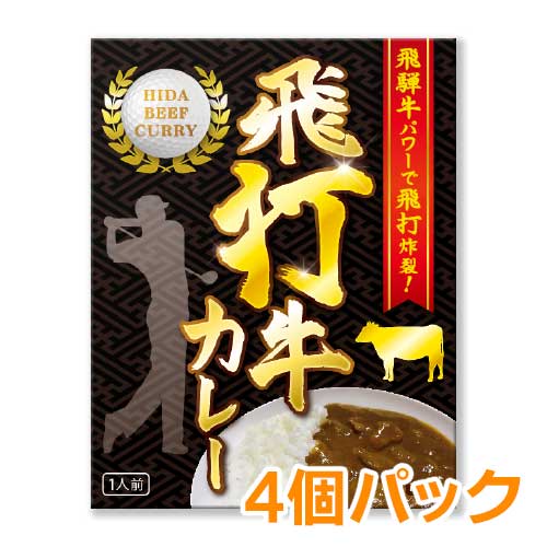 【現物】飛打牛カレー5個パック