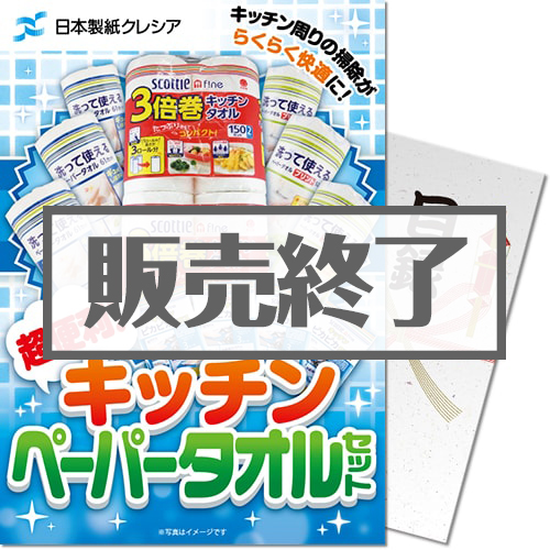 【パネもく！】ブクレシア 超便利！キッチンペーパータオルセット（A4パネル付）[当日出荷可]