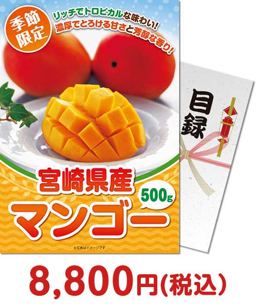 ＜季節限定＞【パネもく！】国産完熟マンゴー800g（A4パネル付）