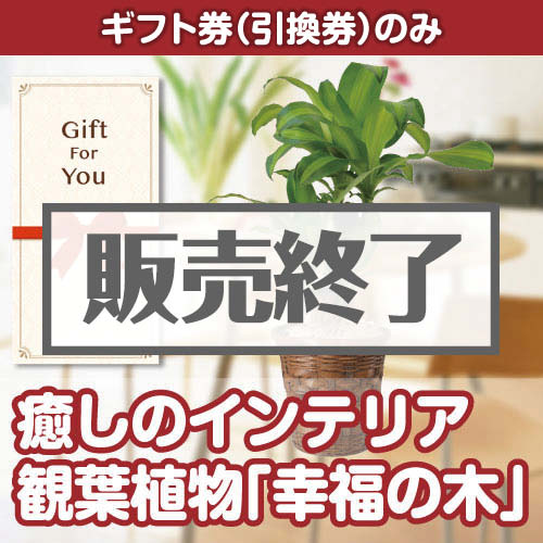 【ギフト券】kofukunoki（A4パネル付）[当日出荷可]