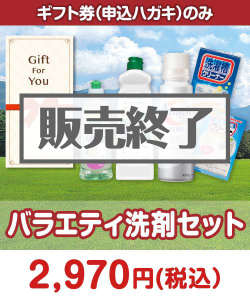 日用品景品 【ギフト券】バラエティ洗剤セット