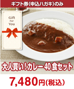 【ギフト券】大人買い！カレー40食セット