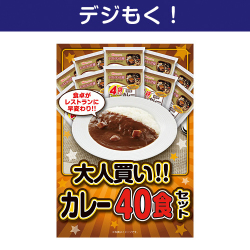 大人買い！カレー40食セット