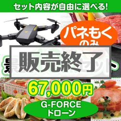 ＜内容が選べるまとめ買い景品10点セット＞目玉：G-FORCE ドローン