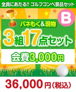 【ゴルフコンペ賞品17点セット】3組12名様：会費3,000円（全員に当たる！）Bコース 