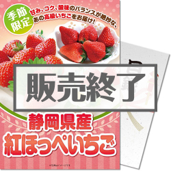 静岡県産 紅ほっぺいちご600g（A4パネル付）
