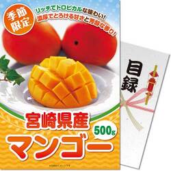 国産完熟マンゴー800g（A4パネル付）