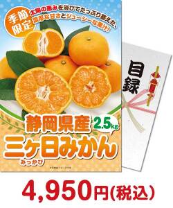 ＜季節限定＞【パネもく！】静岡県産 三ケ日みかん2.5kg