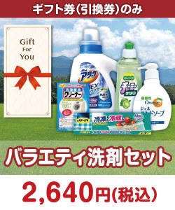 バラエティ洗剤セット
