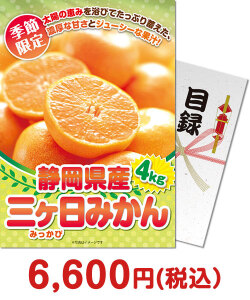 季節限定のフルーツ景品 【パネもく！】＜季節限定＞静岡県産 三ケ日みかん4kg