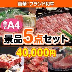肉景品 ブランド和牛肉 5点セット