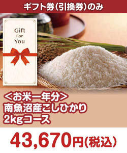 ギフト券景品 【ギフト券】＜お米一年分＞南魚沼産こしひかり2kgコース