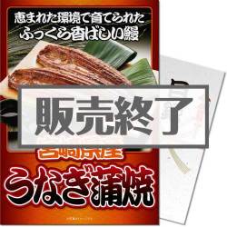 
【パネもく！】宮崎県産うなぎの蒲焼（A4パネル付）