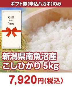 【ギフト券】新潟県南魚沼産こしひかり5kg ギフト券景品