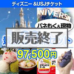 ディズニー&USJチケット30点セット