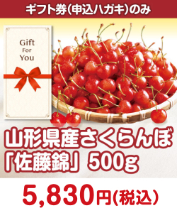 ＜季節限定＞【ギフト券】山形県産さくらんぼ「佐藤錦」500g ギフト券景品