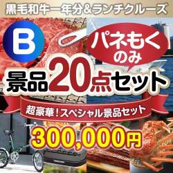 全てパネもく！超豪華スペシャル景品20点セット Bコース