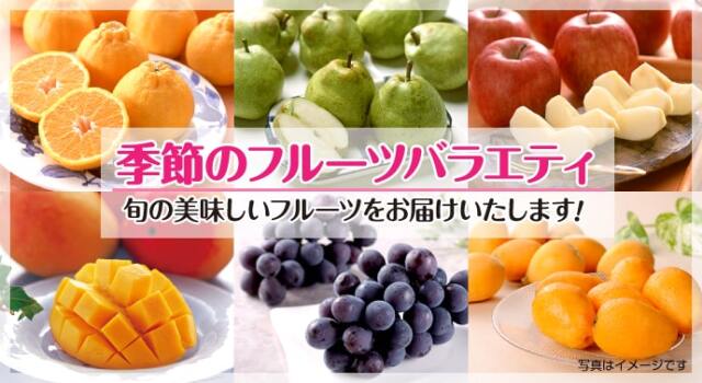 季節のフルーツバラエティ