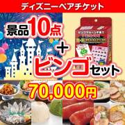 景品パークレビュー 【ビンゴゲーム付き】ディズニーペアチケット10点セット