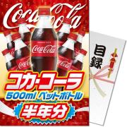 景品パークレビュー 【パネもく！】コカ・コーラ500mlPET半年分（A4パネル付）