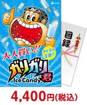 【パネもく！】大人買い！ガリガリ君 お菓子景品 