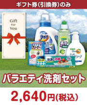 【ギフト券】バラエティ洗剤セット ギフト券景品 
