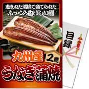 景品パークレビュー 【パネもく！】九州産うなぎの蒲焼2尾
