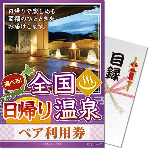 【パネもく！】選べる全国日帰り温泉ペア利用券 VILコース（eギフト）