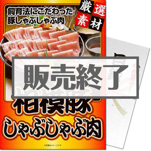 【パネもく！】神奈川県産 相模豚しゃぶしゃぶ肉（A4パネル付）