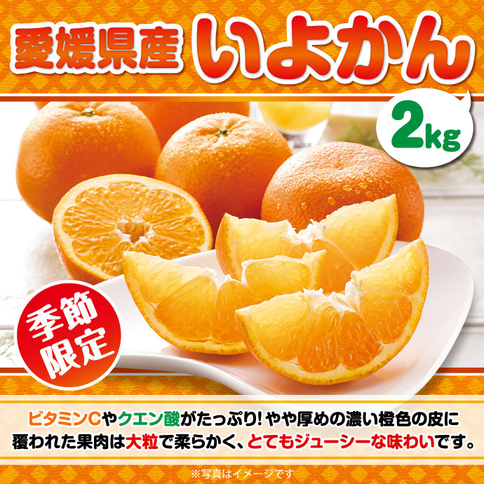 <季節限定>【パネもく!】愛媛県産 いよかん2kg(A4パネル付)