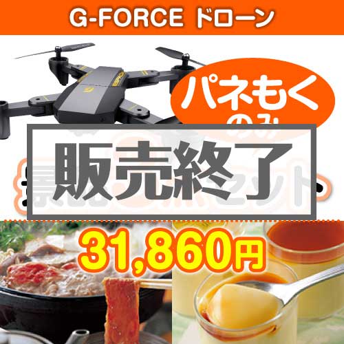 【楽々まとめ買い景品セット：当選者3名様向け】G-FORCE ドローン3点セット [送料無料・全品目録パネル付・当日出荷可]