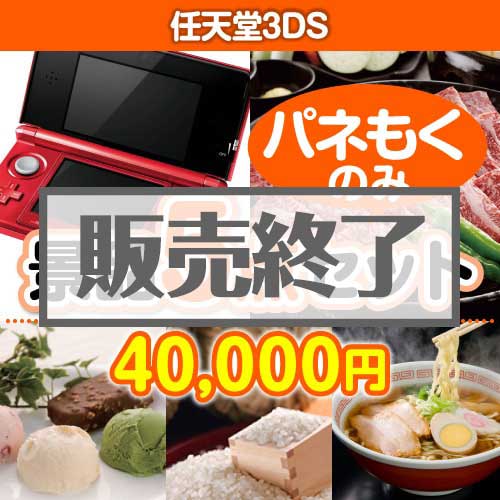 【楽々まとめ買い景品セット：当選者5名様向け】任天堂3DS　5点セット[当日出荷可]