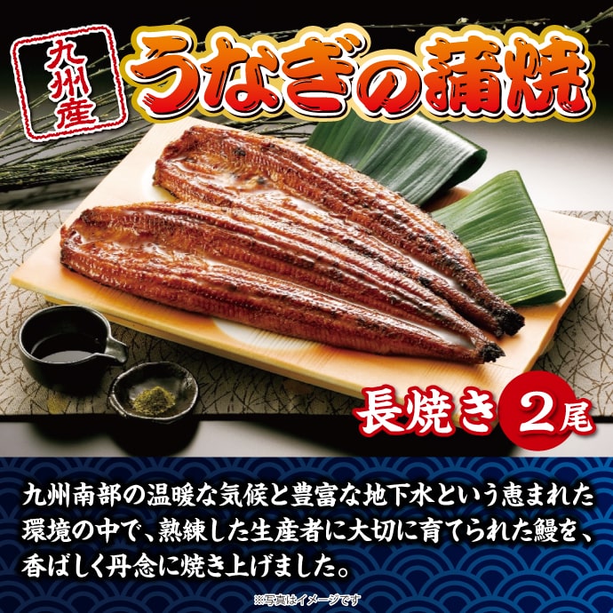 【ギフト券】九州産うなぎの蒲焼