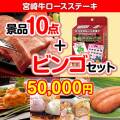 【ビンゴゲーム付き】宮崎牛ロースステーキ10点セット