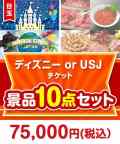 ディズニーペアチケット 10点セット