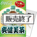 大人買い!爽健美茶