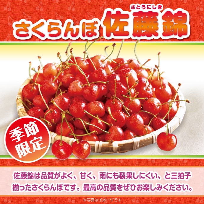 季節限定 パネもく 山形県産さくらんぼ 佐藤錦 500g パネル付 季節限定 パネもく 山形県産さくらんぼ 佐藤錦 500g パネル付