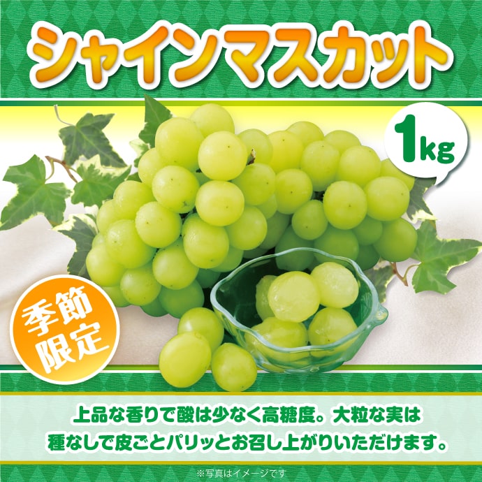 <季節限定>【パネもく!】シャインマスカット1kg(A4パネル付)